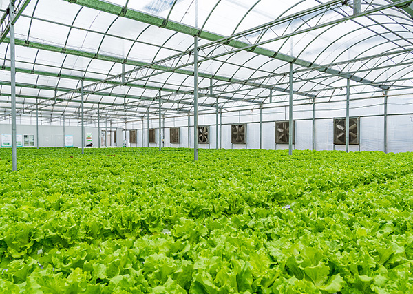 加熱膜生產(chǎn)廠家 加熱膜生產(chǎn)廠家