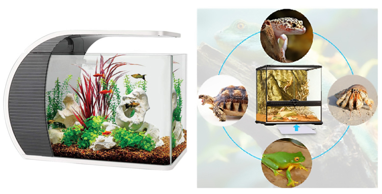 爬寵場(chǎng)景 爬寵場(chǎng)景